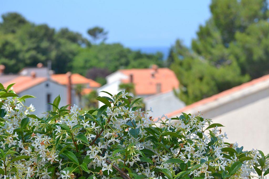 Apartments Zomzi Poreč Exteriér fotografie